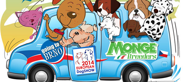 Campionato_Europeo_Brno