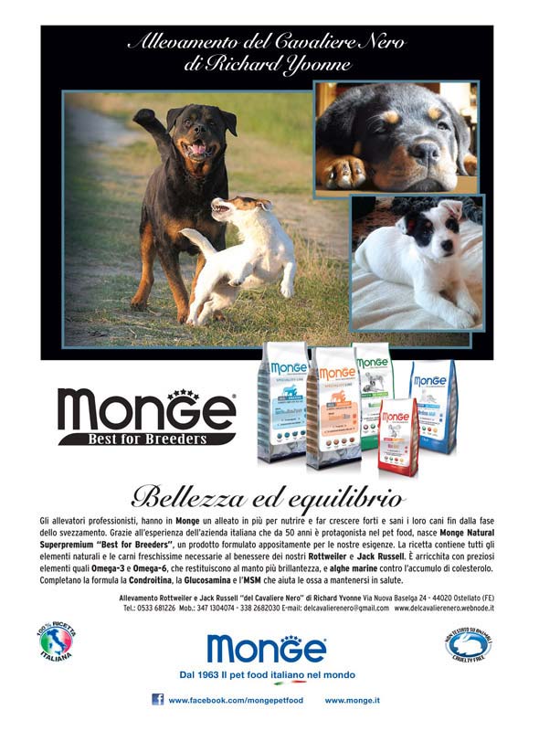 Monge_Breeders_cavaliere-nero