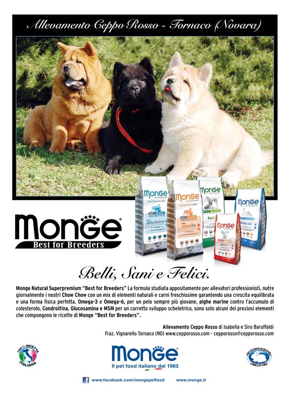 Monge_Breeders_cepporosso