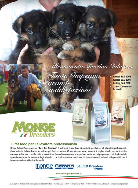 Monge_Breeders_galateus
