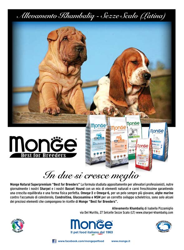 Monge_Breeders_khambaliq