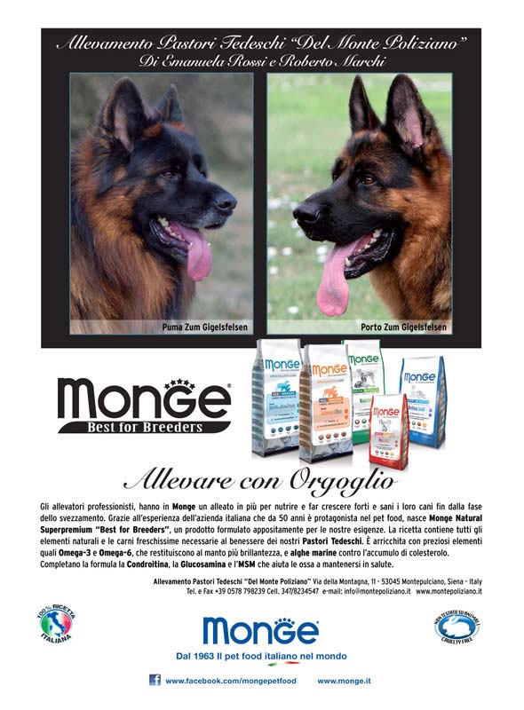 Monge_Breeders_montepoliziano