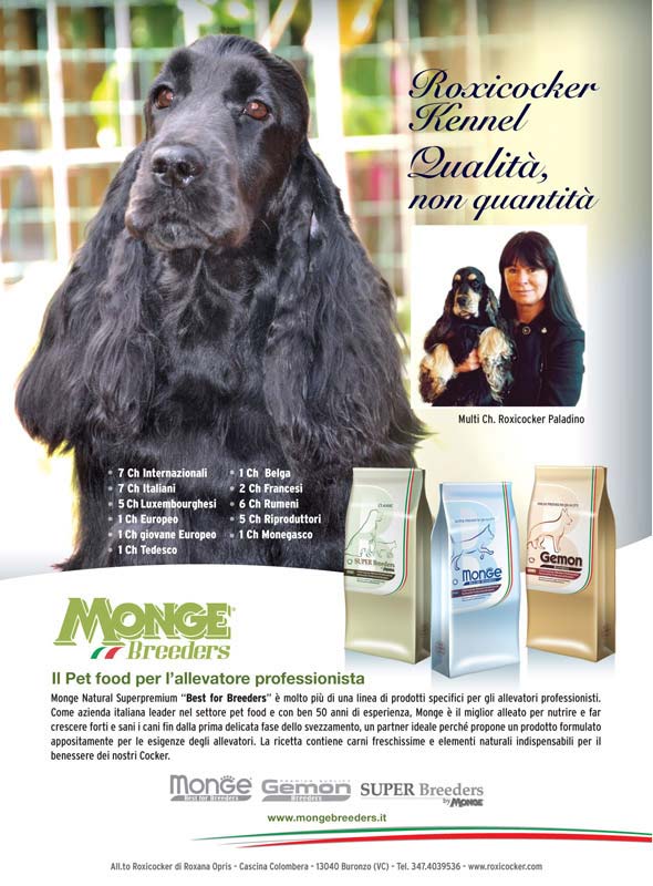 Monge_Breeders_roxicocker