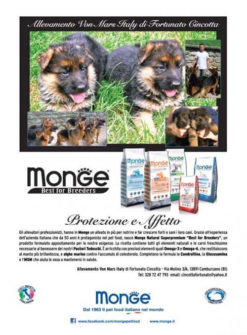 Monge_Breeders_vonmars