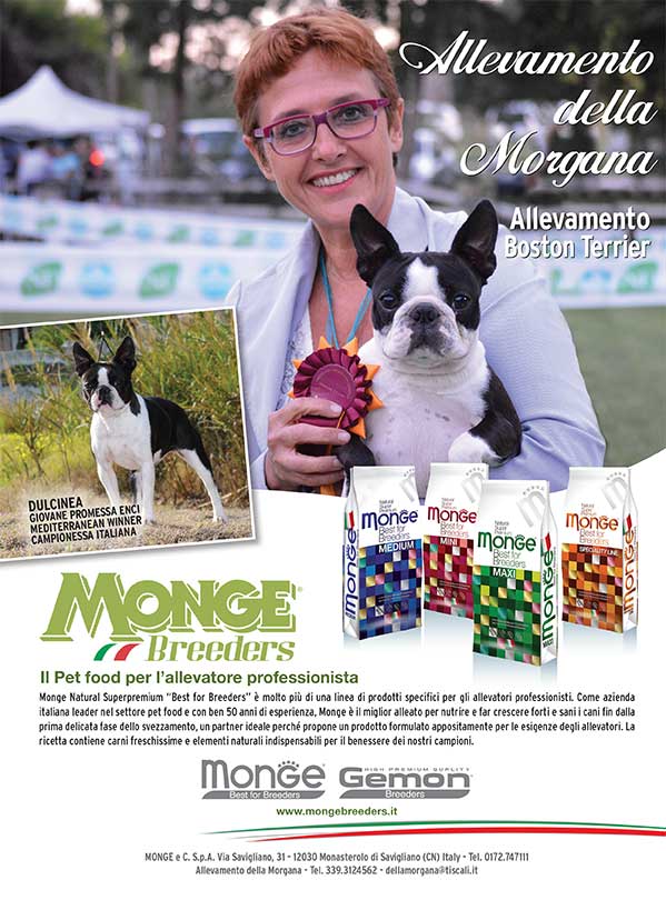 monge-breeders-morgana