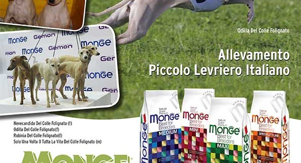 monge_breeders_-del-colle-folignato