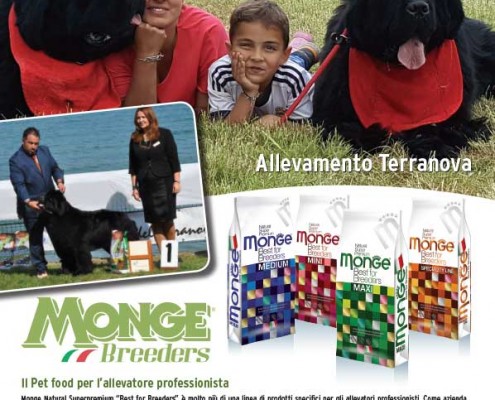 allevamento_little_bears