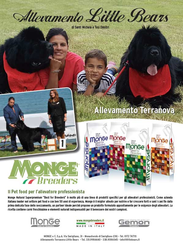 allevamento_little_bears