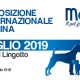 esposizione_canina_torino_breeders