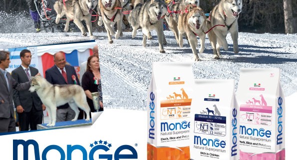 monge_breeders_vanisella