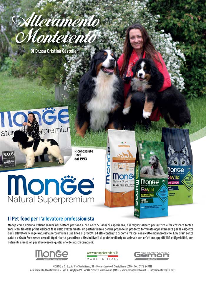 monge_breeders_-Montevento¹s