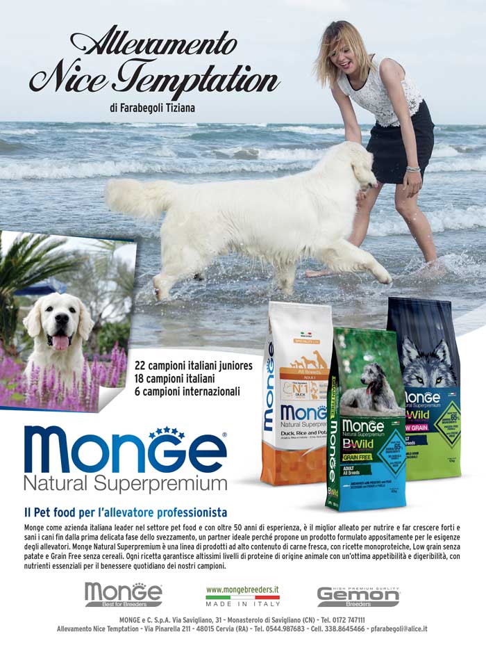 monge_breeders_All