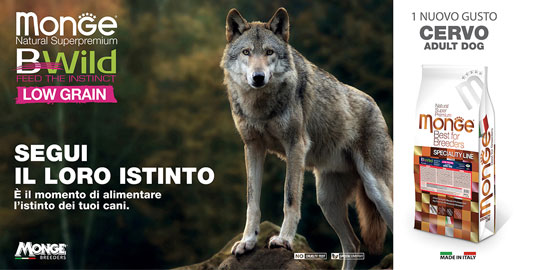 CERVO